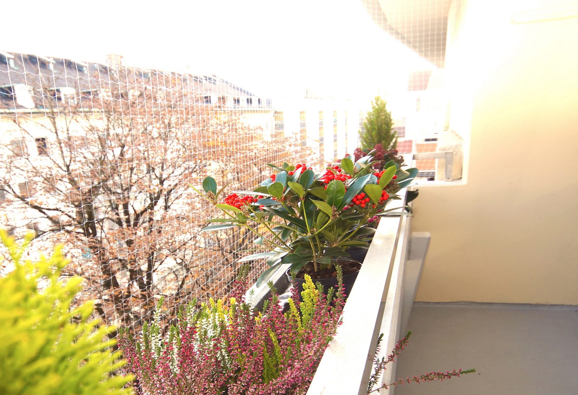 Hirschberg-Immobilien-2-Zimmer-Wohnung-mit-Loggia-Muenchen-Giesing-Beitragsbild