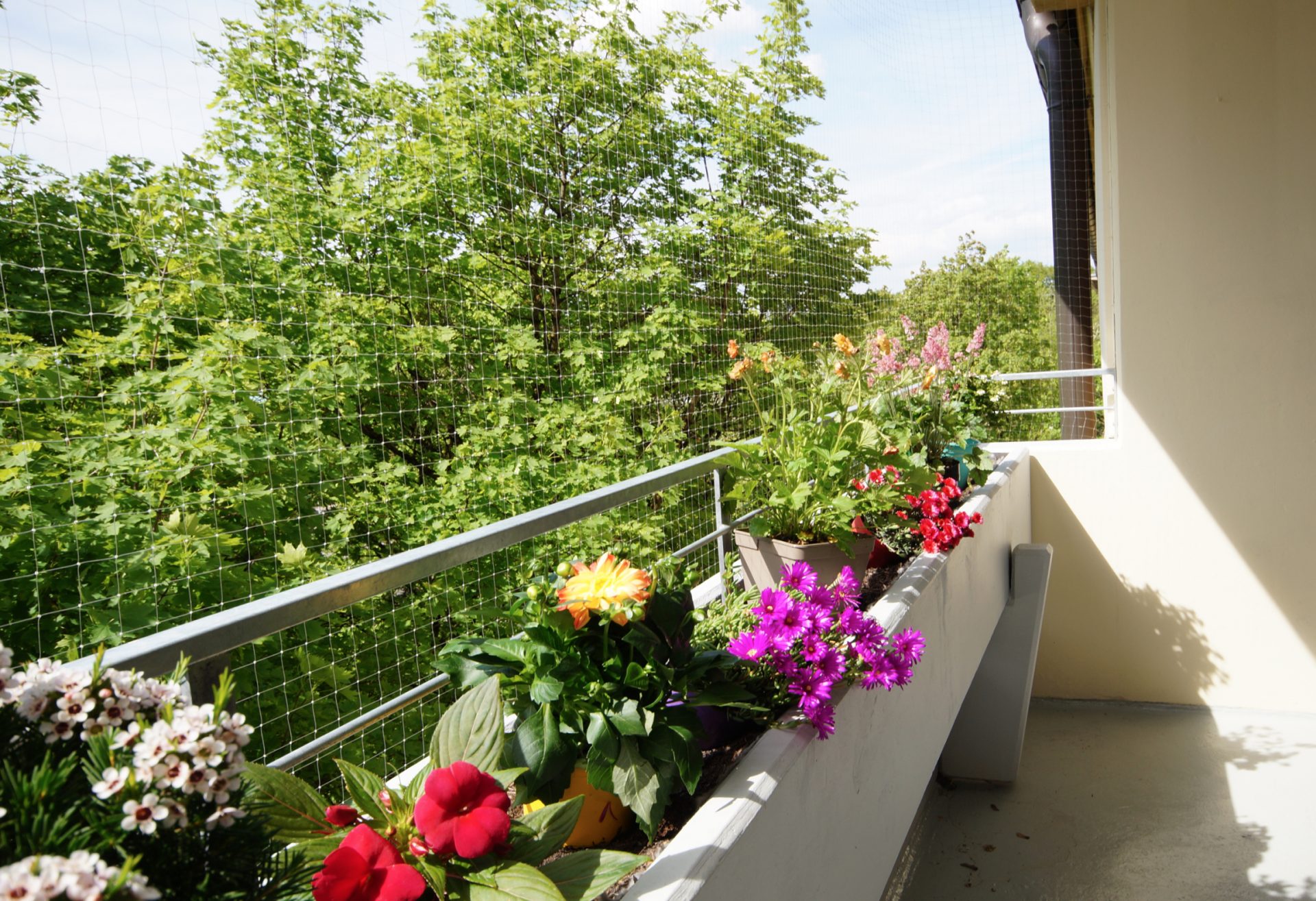 Hirschberg-Immobilien-2einhalb-Zimmer-Wohnung-Muenchen-Giesing-Westbalkon-Beitragsbild